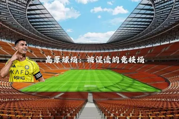 高原球场：被误读的竞技场